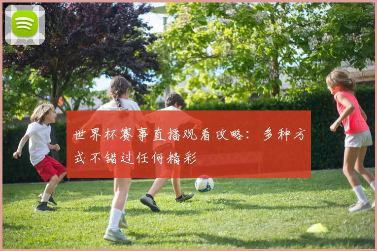 世界杯赛事直播观看攻略：多种方式不错过任何精彩