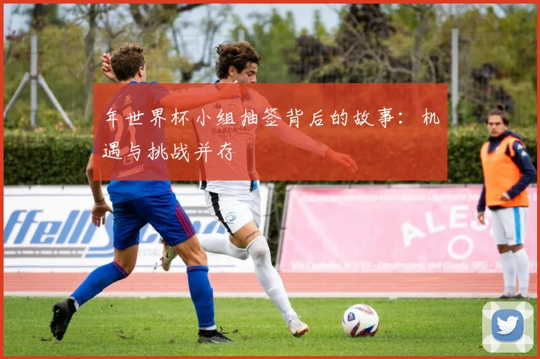 年世界杯小组抽签背后的故事:机遇与挑战并存