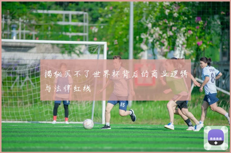 揭秘买不了世界杯背后的商业逻辑与法律红线