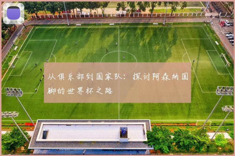 从俱乐部到国家队：探讨阿森纳国脚的世界杯之路